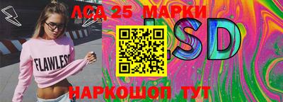 гидропоника Можга
