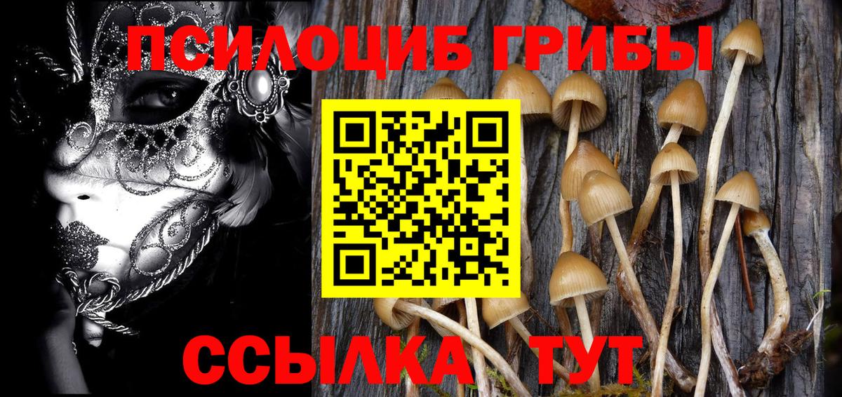 Псилоцибиновые грибы мухоморы Старая Русса